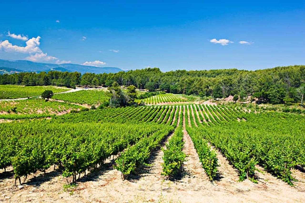 Stunning With Pool In Provence France Hébergement de vacances Lorgues